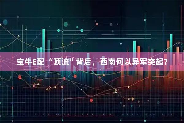 宝牛E配 “顶流”背后，西南何以异军突起？