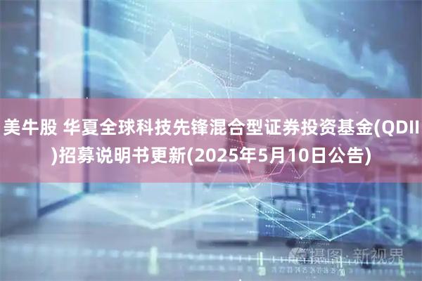 美牛股 华夏全球科技先锋混合型证券投资基金(QDII)招募说明书更新(2025年5月10日公告)